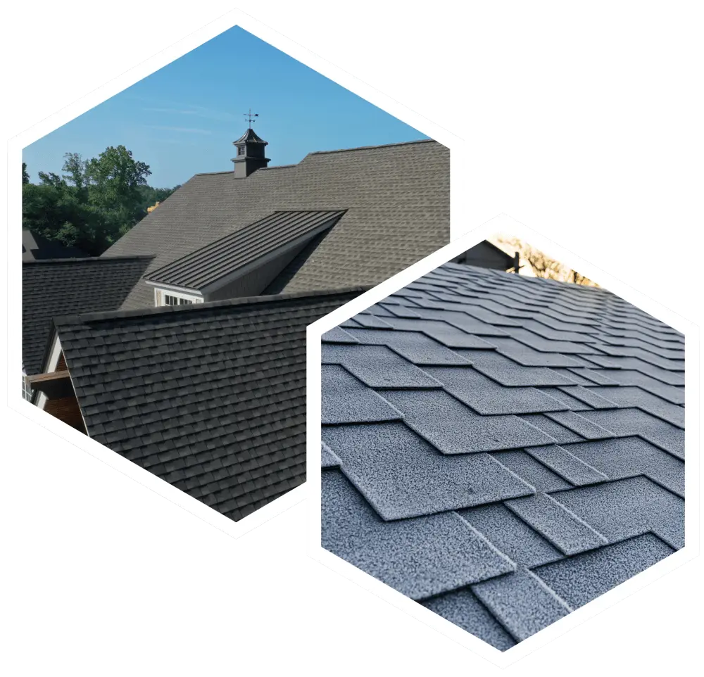 Modern Roofing Services Outdoor 02